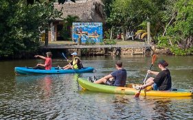 Palmento Grove Garifuna Eco-Cultural & Healing Institute